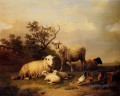 ベルギー フェルベックホーフェンのユージン羊と休む子羊と風景の中で家禽